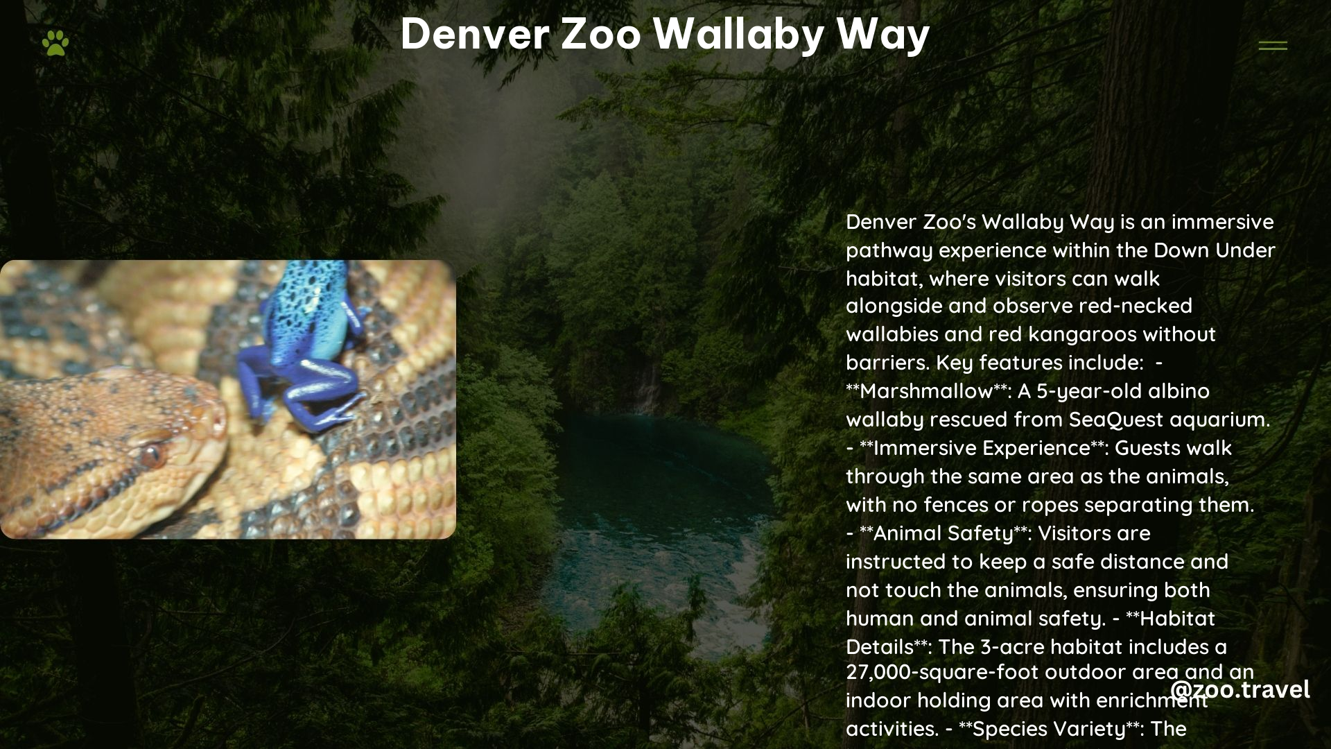 Denver Zoo Wallaby Way