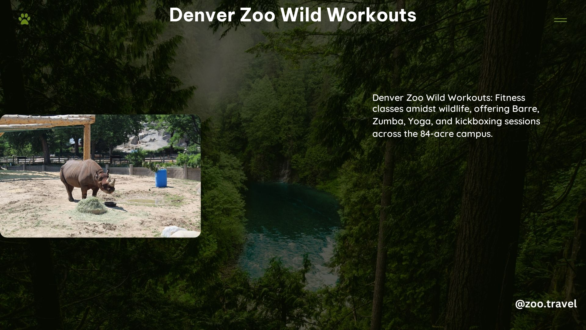 Denver Zoo Wild Workouts