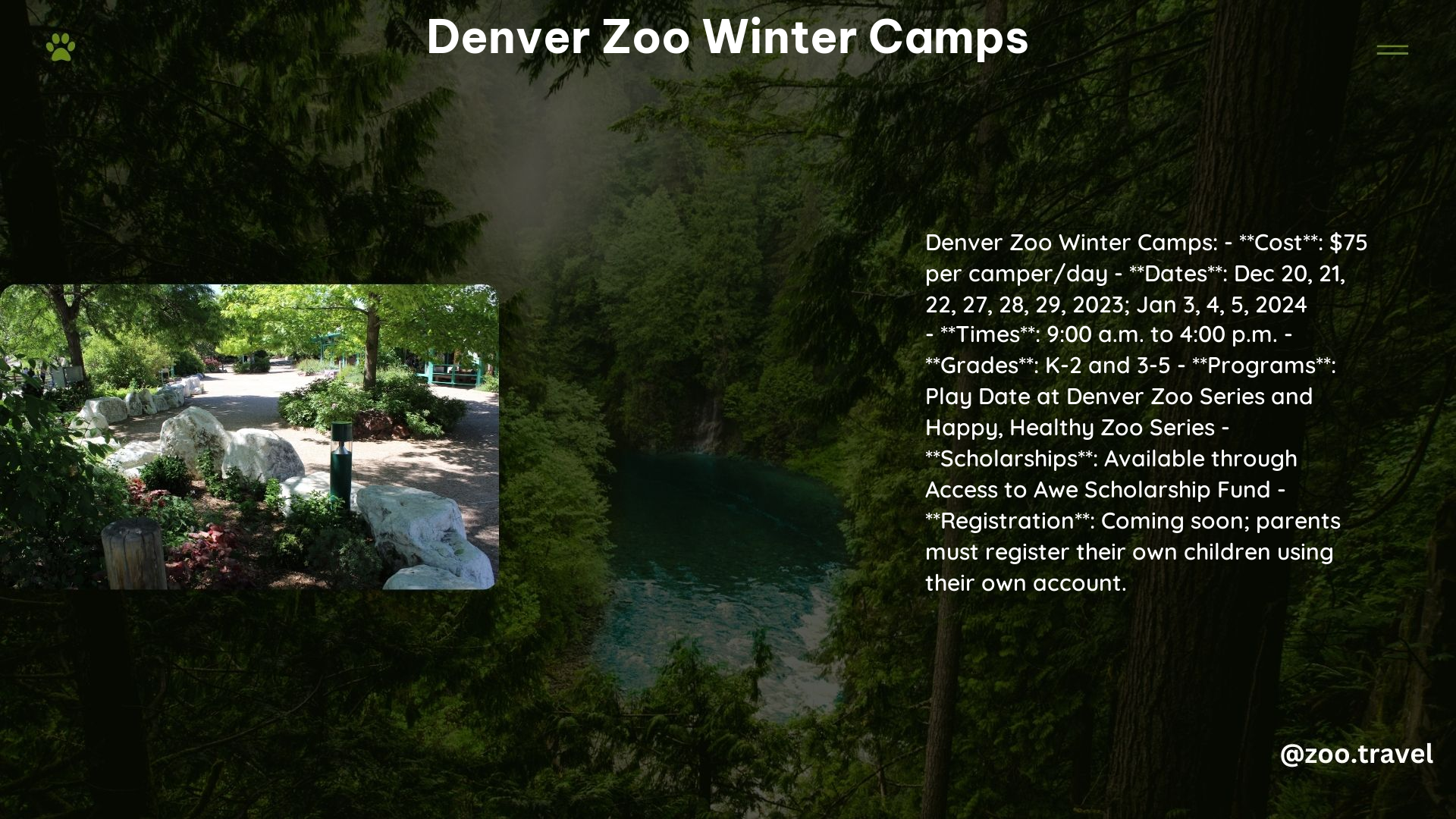 Denver Zoo Winter Camps