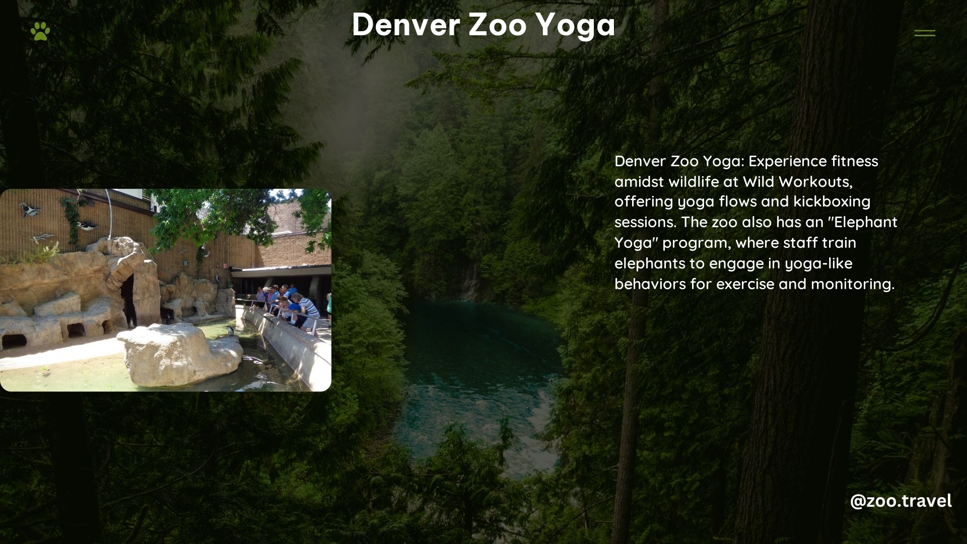 Denver Zoo Yoga