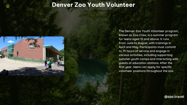 Denver Zoo Youth Volunteer