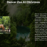 Denver Zoo at Christmas