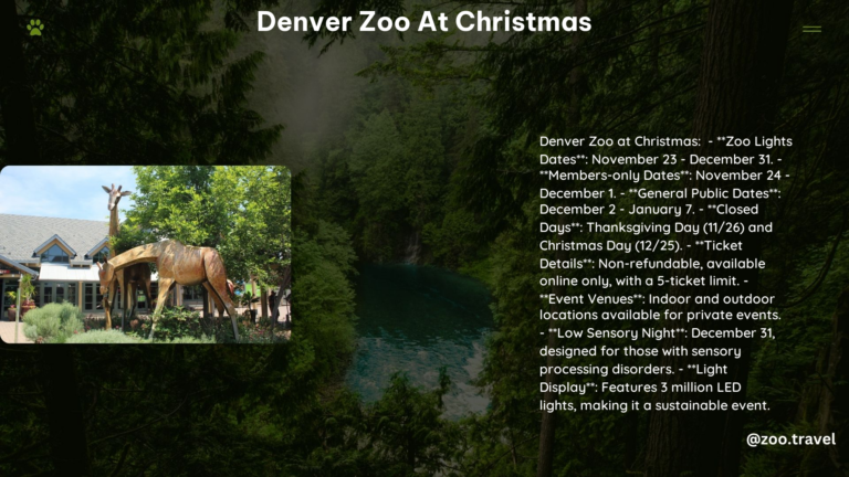 Denver Zoo at Christmas