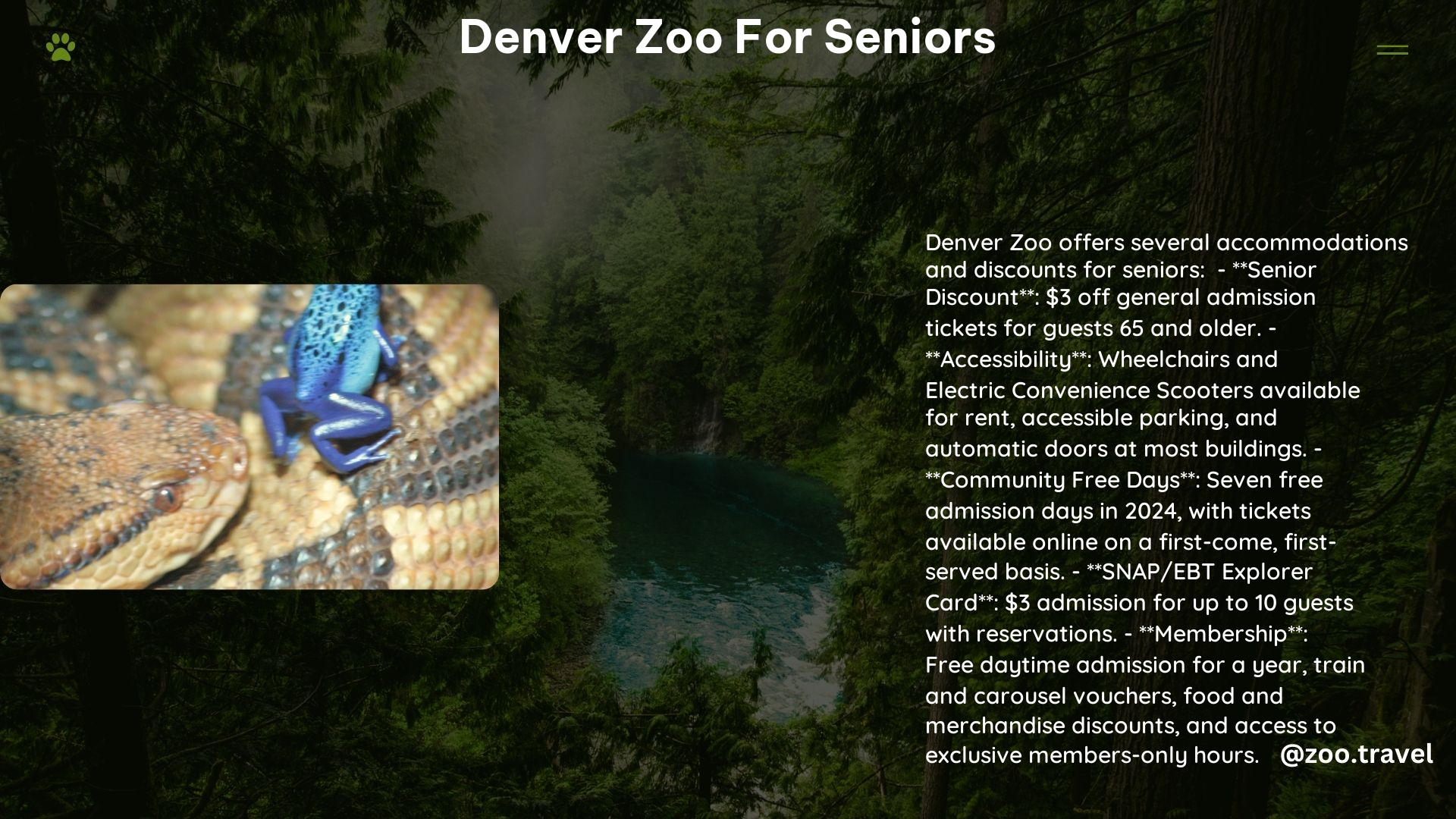 Denver Zoo for Seniors