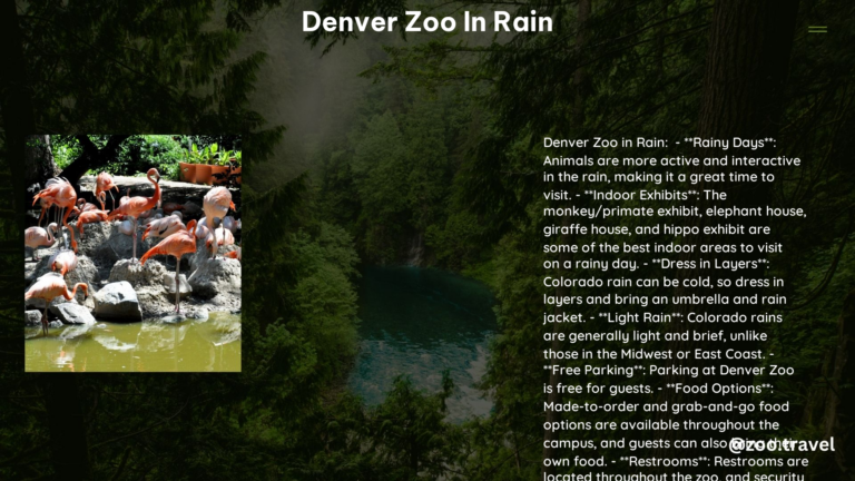 Denver Zoo in Rain