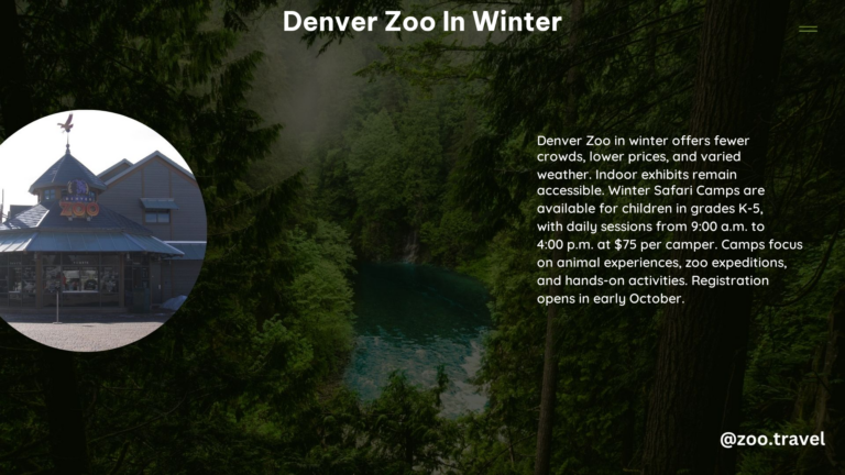 Denver Zoo in Winter