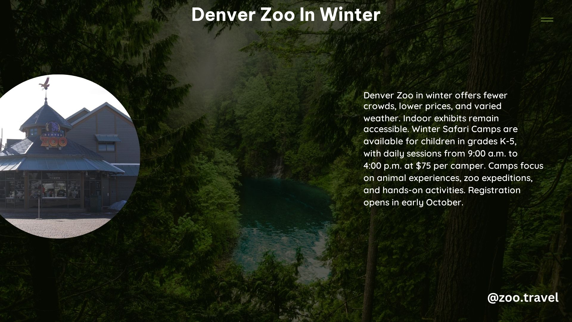 Denver Zoo in Winter