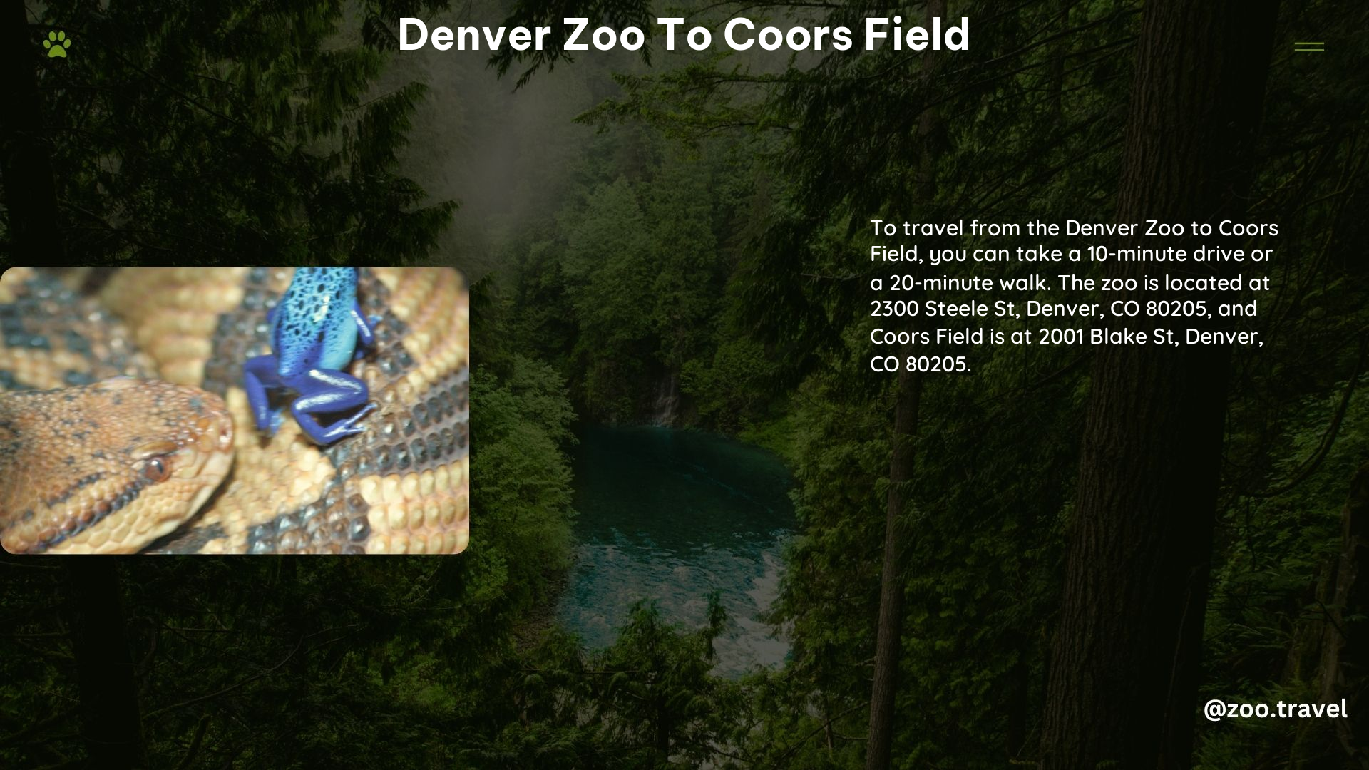 Denver Zoo to Coors Field