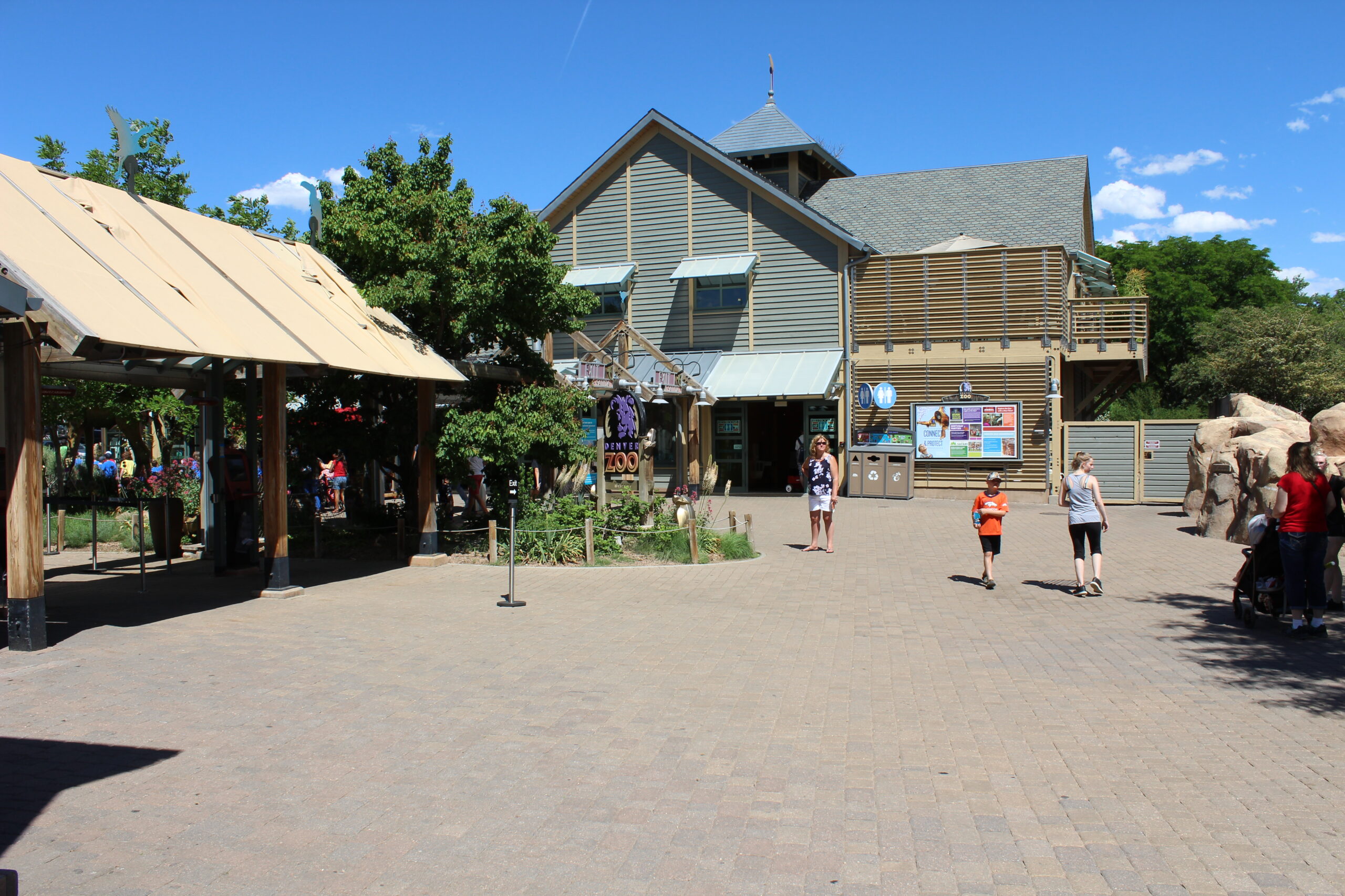 Denver Zoo Lion Exhibit