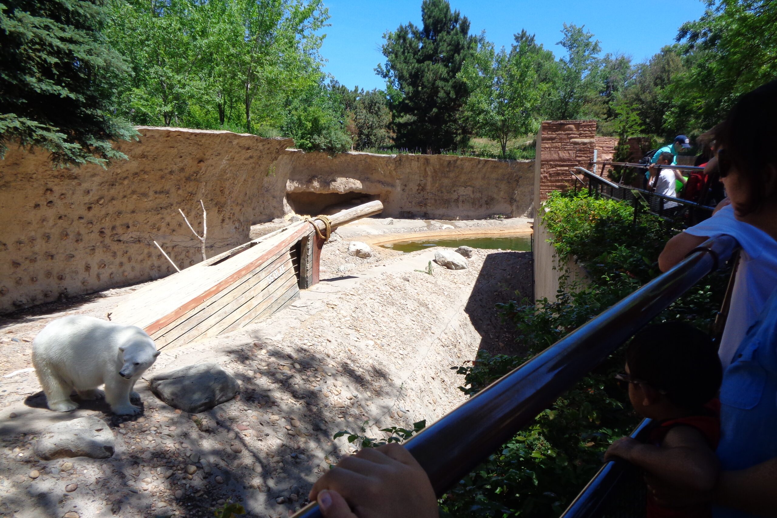 Denver Zoo Playground