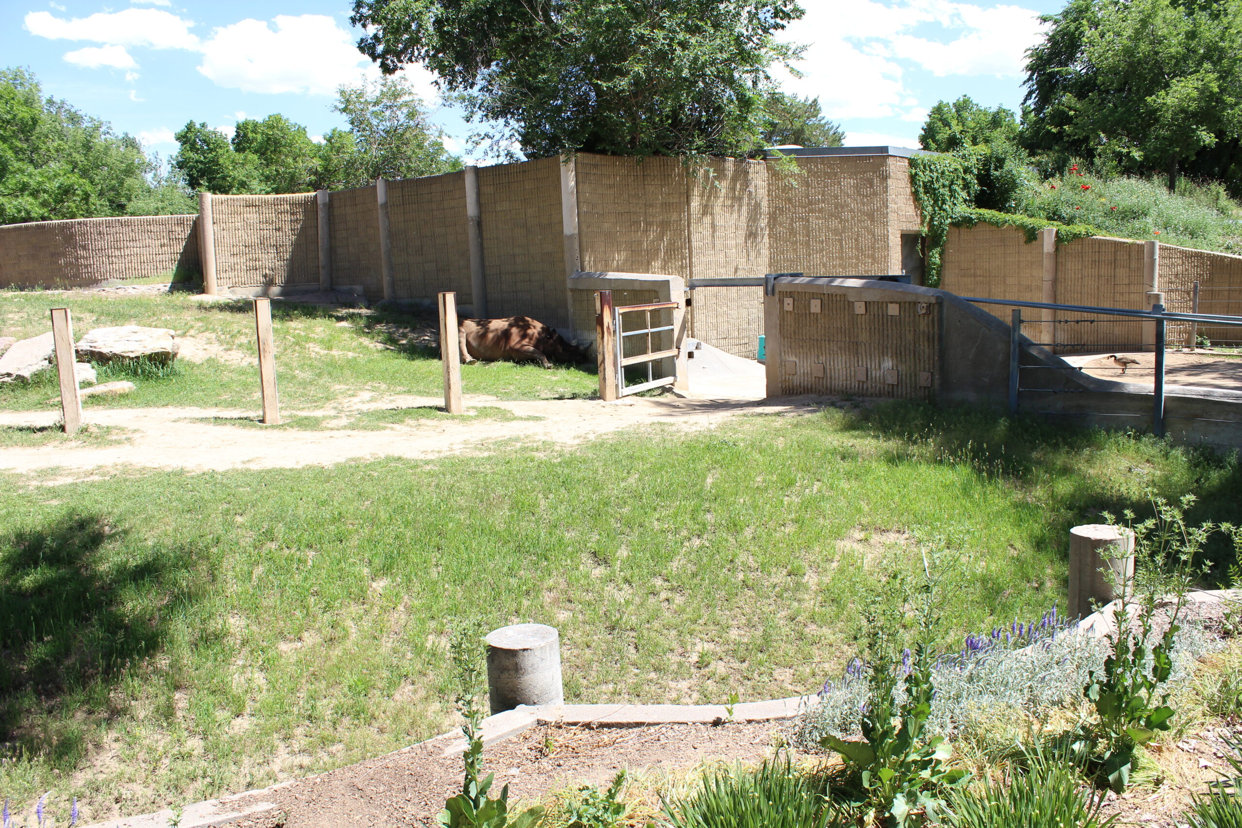 Denver Zoo Elephant Bridge