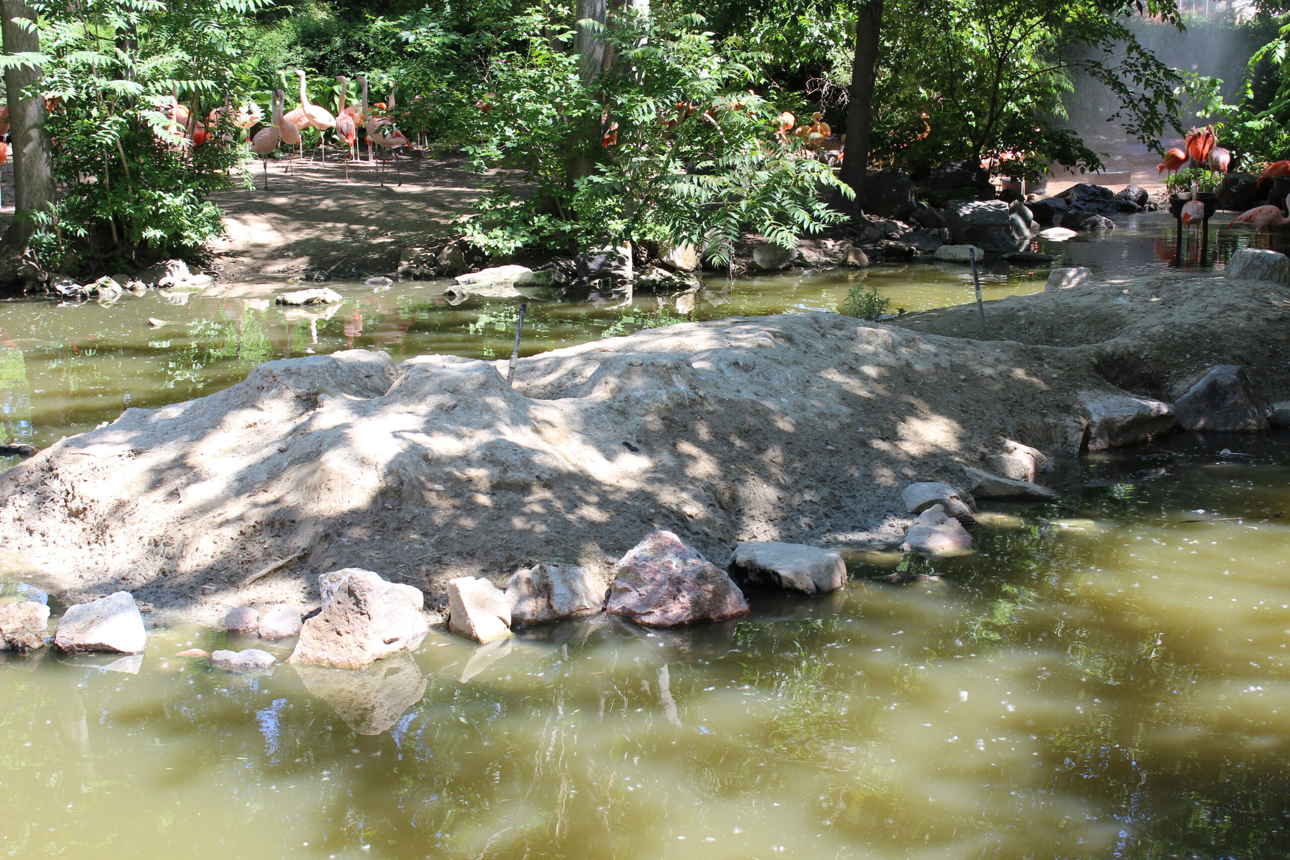 Denver Zoo Habitats