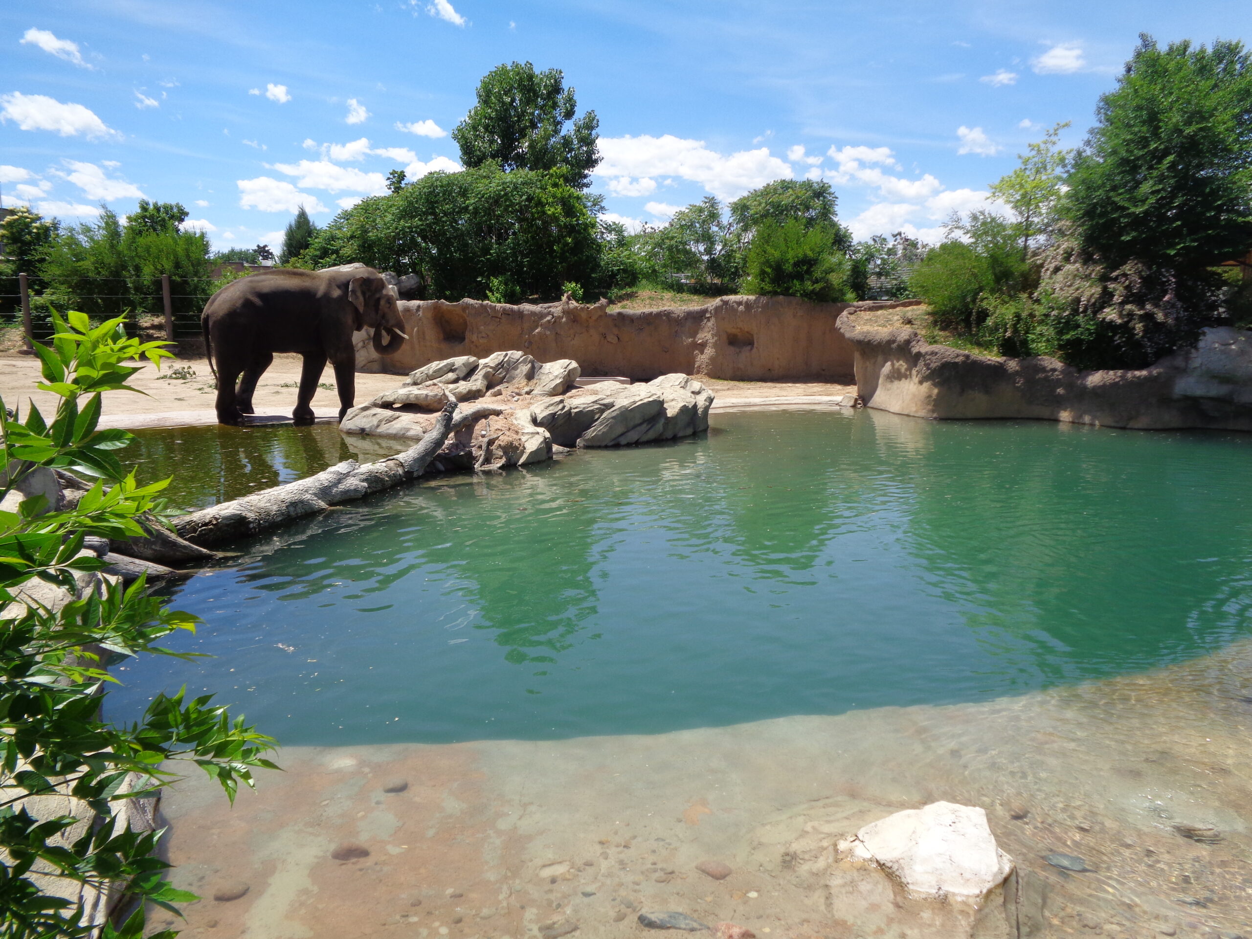 Denver Zoo Tundra