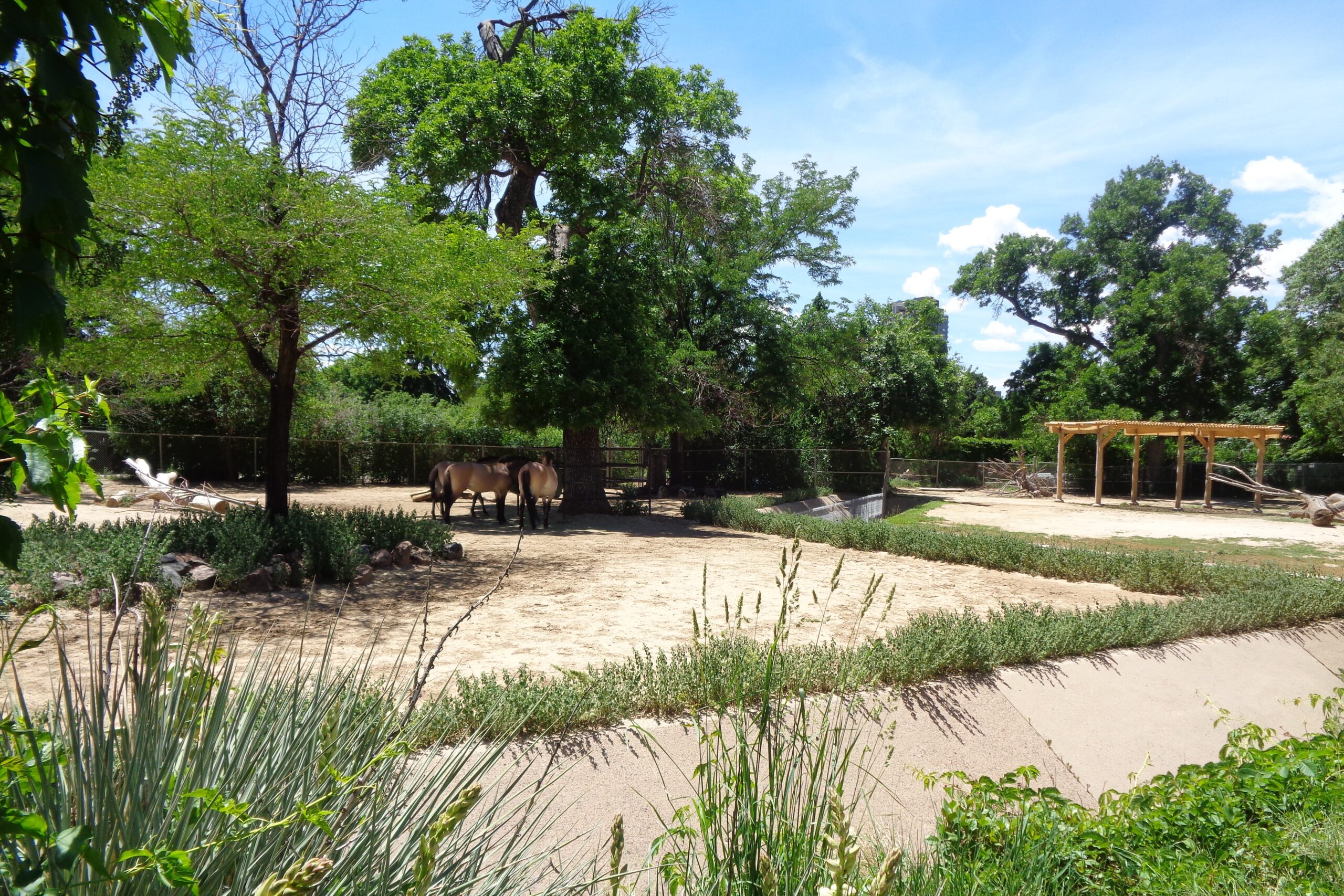 Denver Zoo Adopt an Animal