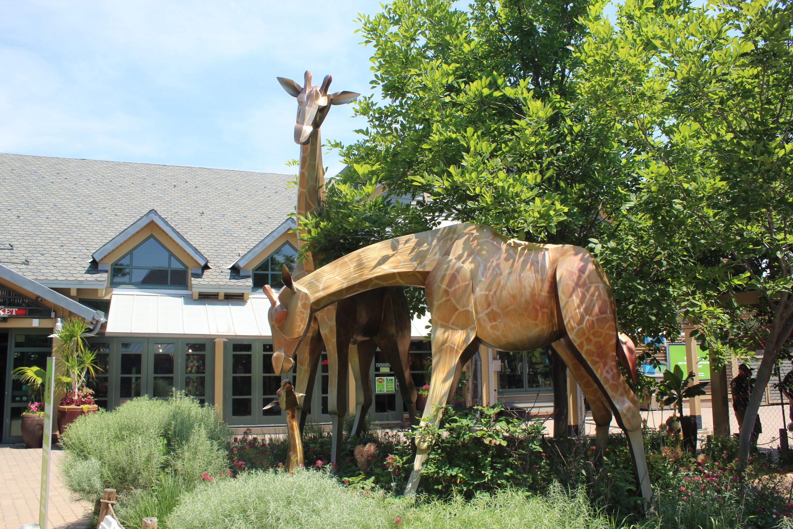 Denver Zoo Kibongi Market