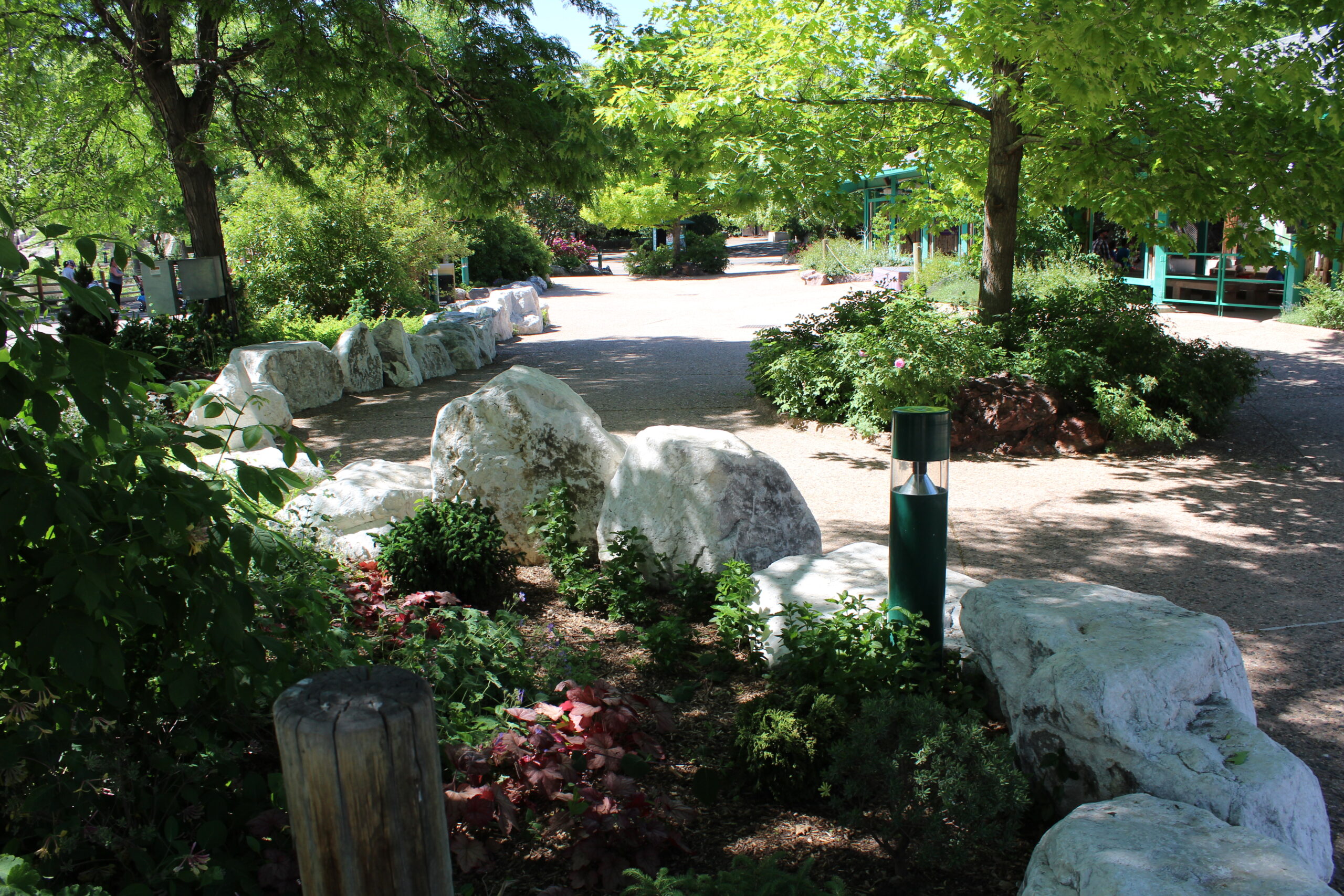 Denver Zoo Gorilla Trek