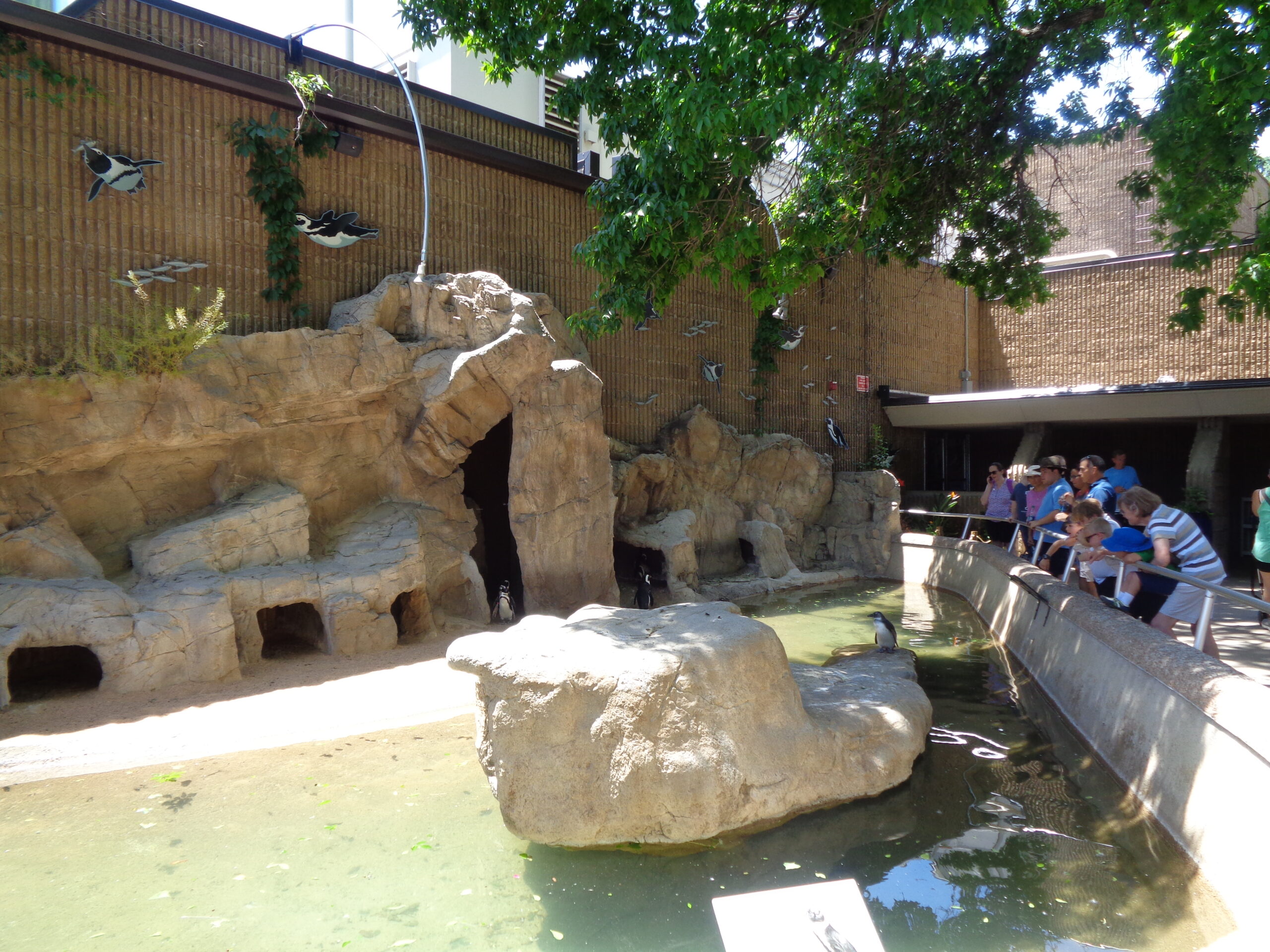 Denver Zoo in Winter