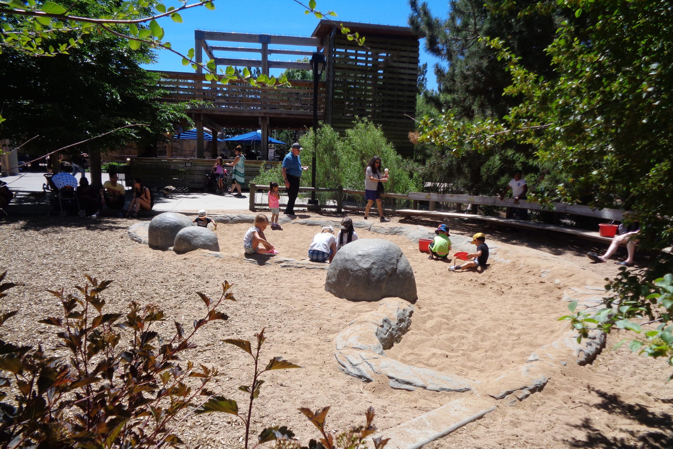 Denver Zoo Otter Experience