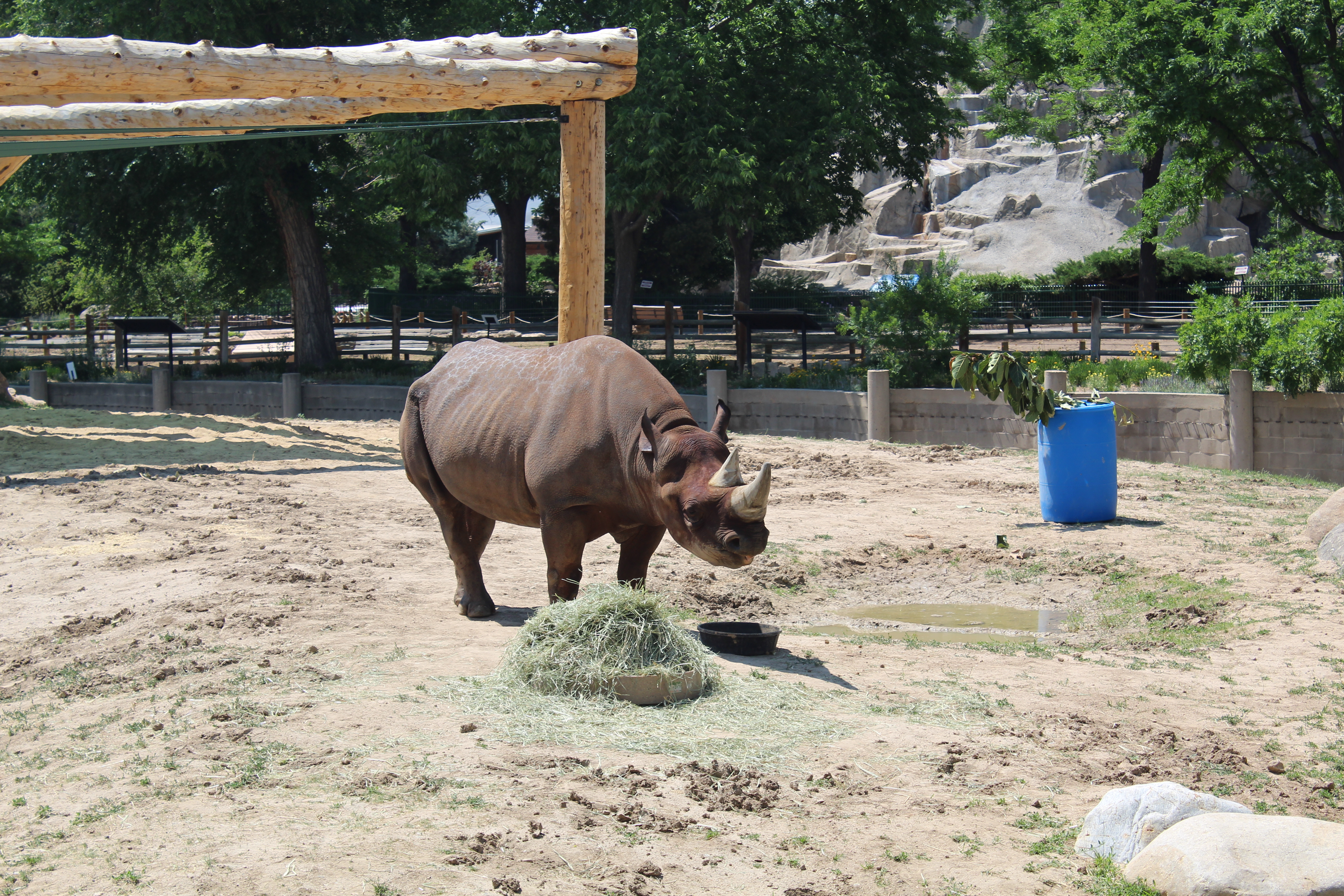 Who Owns Denver Zoo