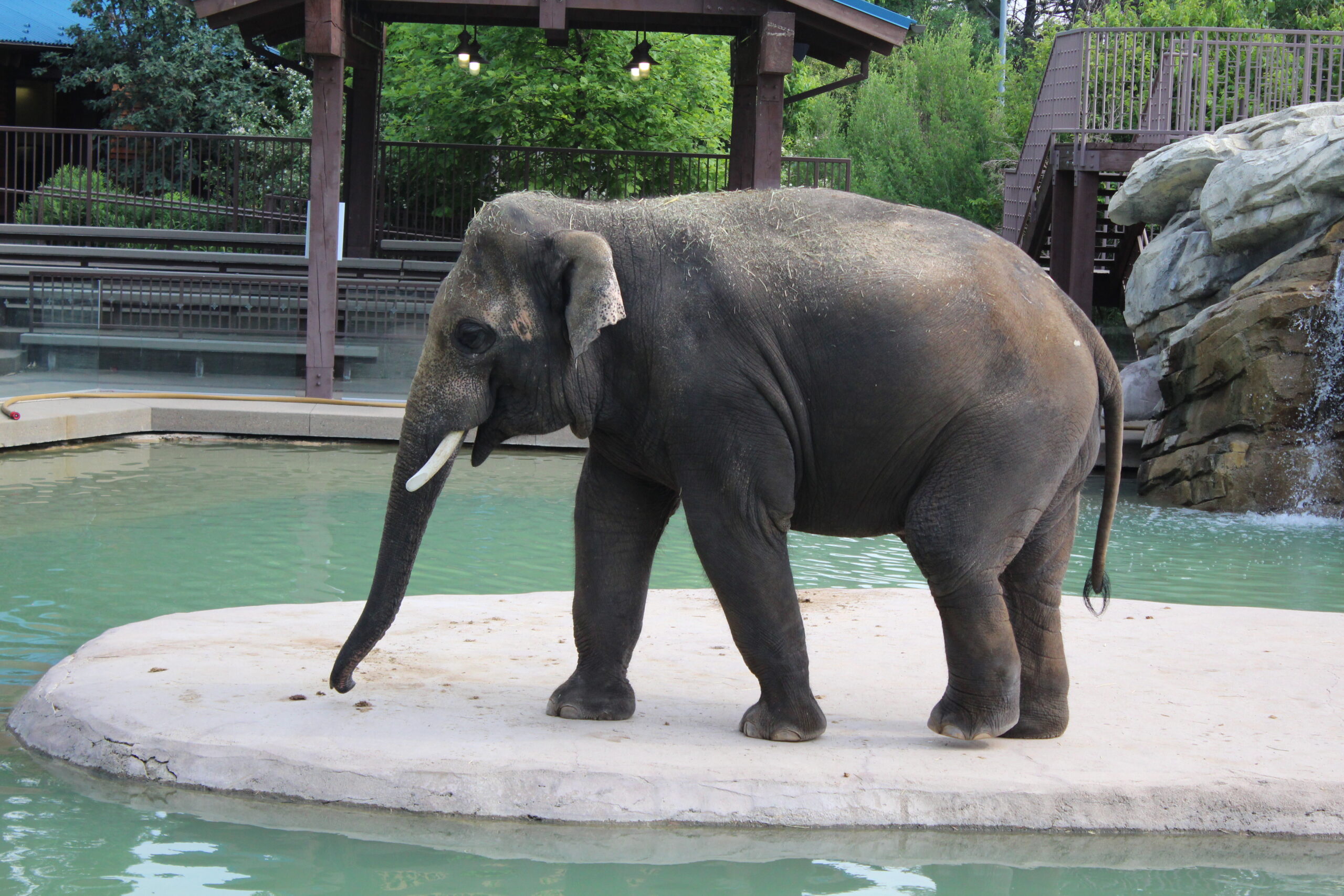 Cafe Costa Denver Zoo