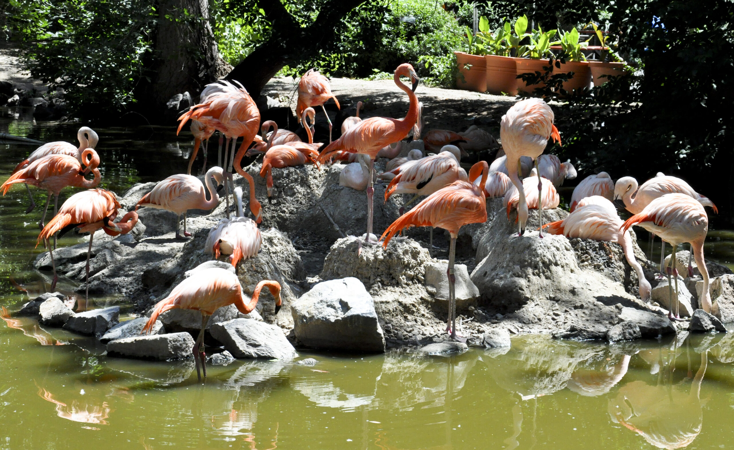 Is the Denver Zoo Aza Accredited