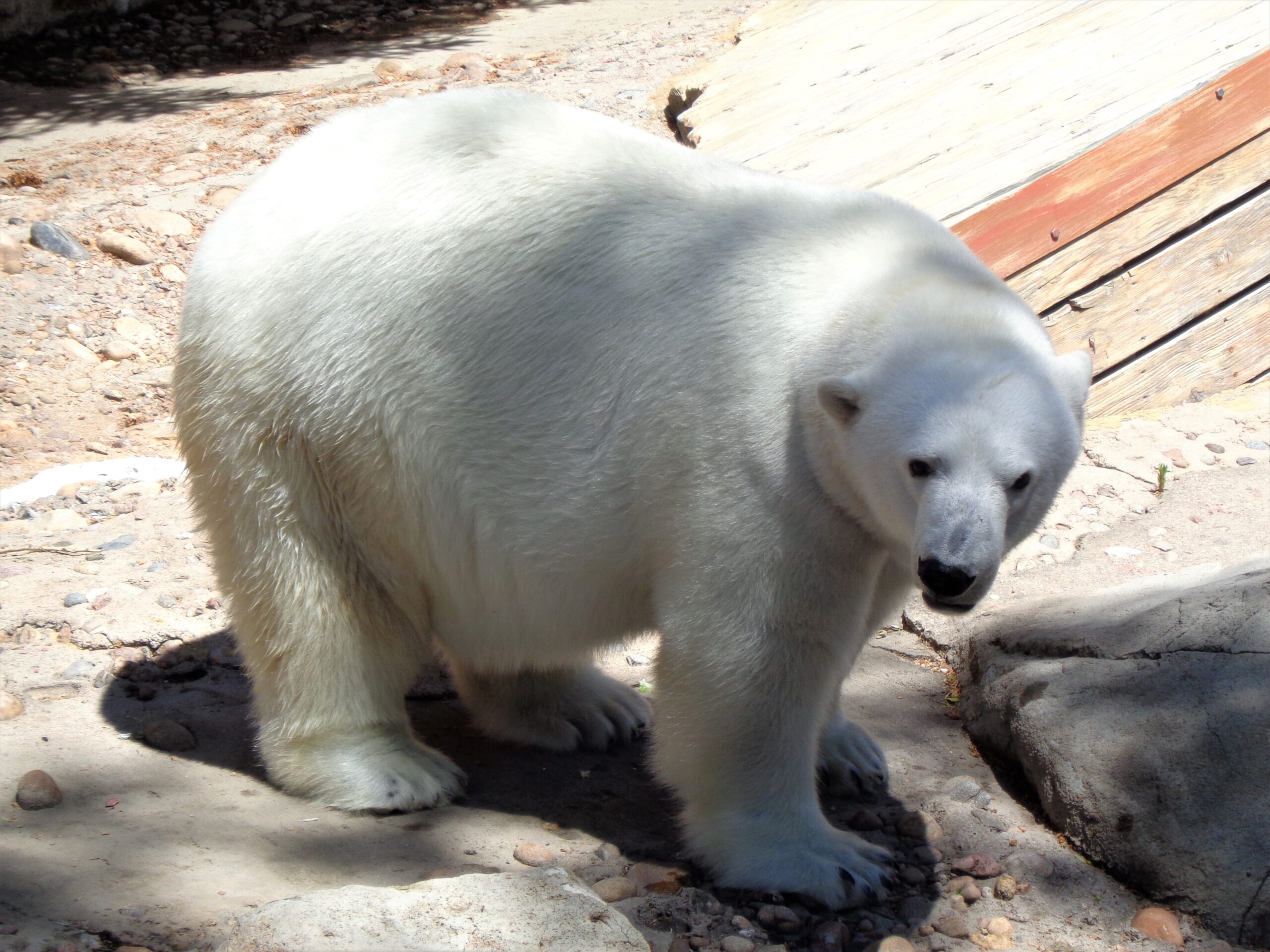 Denver Zoo Composting