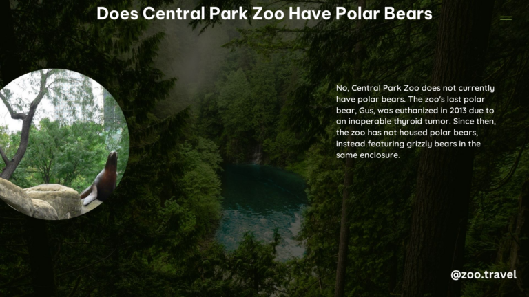 Does Central Park Zoo Have Polar Bears