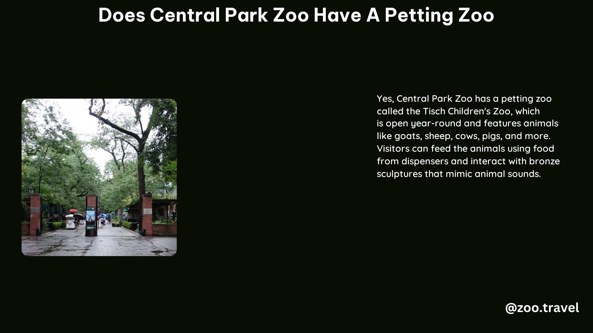 Does Central Park Zoo Have a Petting Zoo