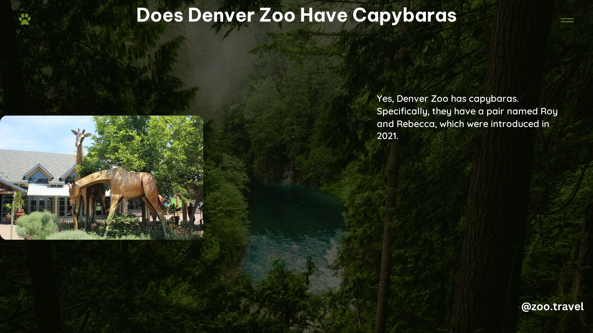 Does Denver Zoo Have Capybaras