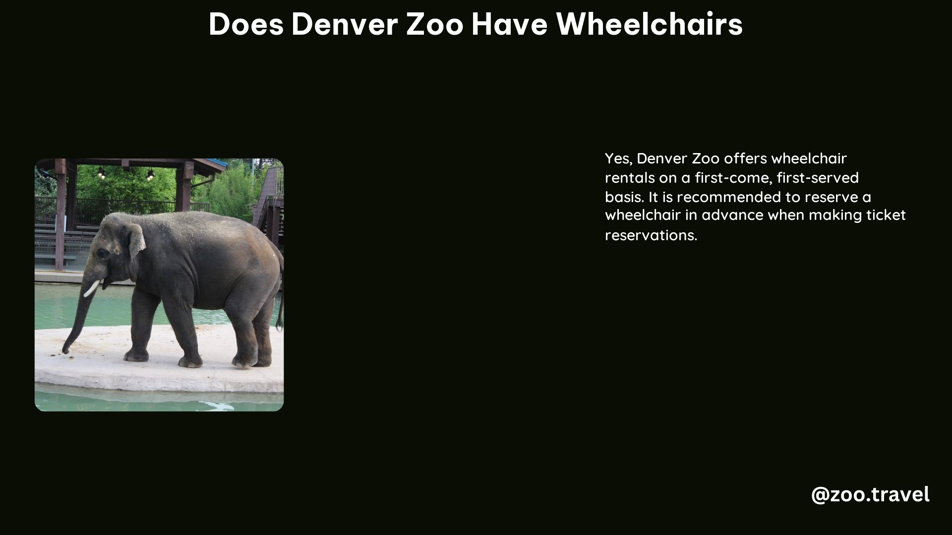 Does Denver Zoo Have Wheelchairs