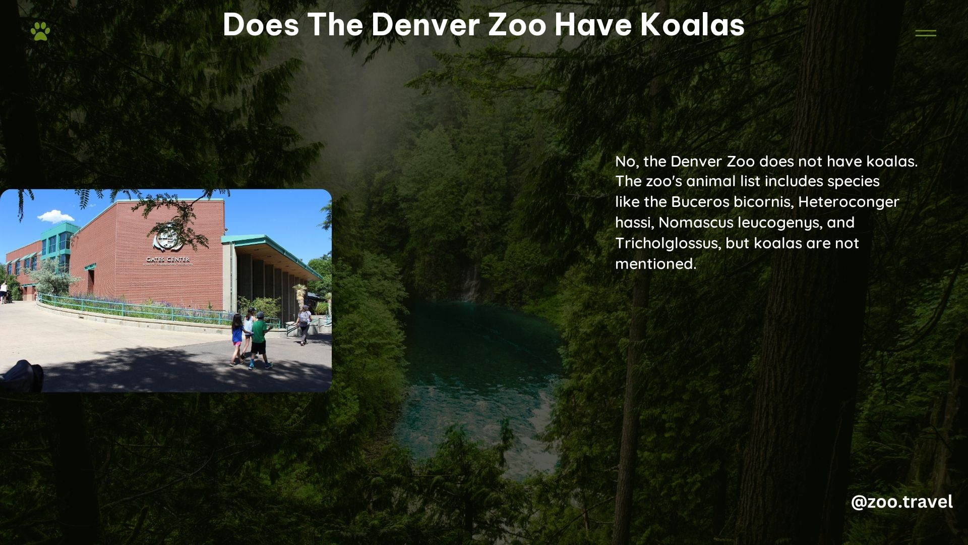 Does the Denver Zoo Have Koalas