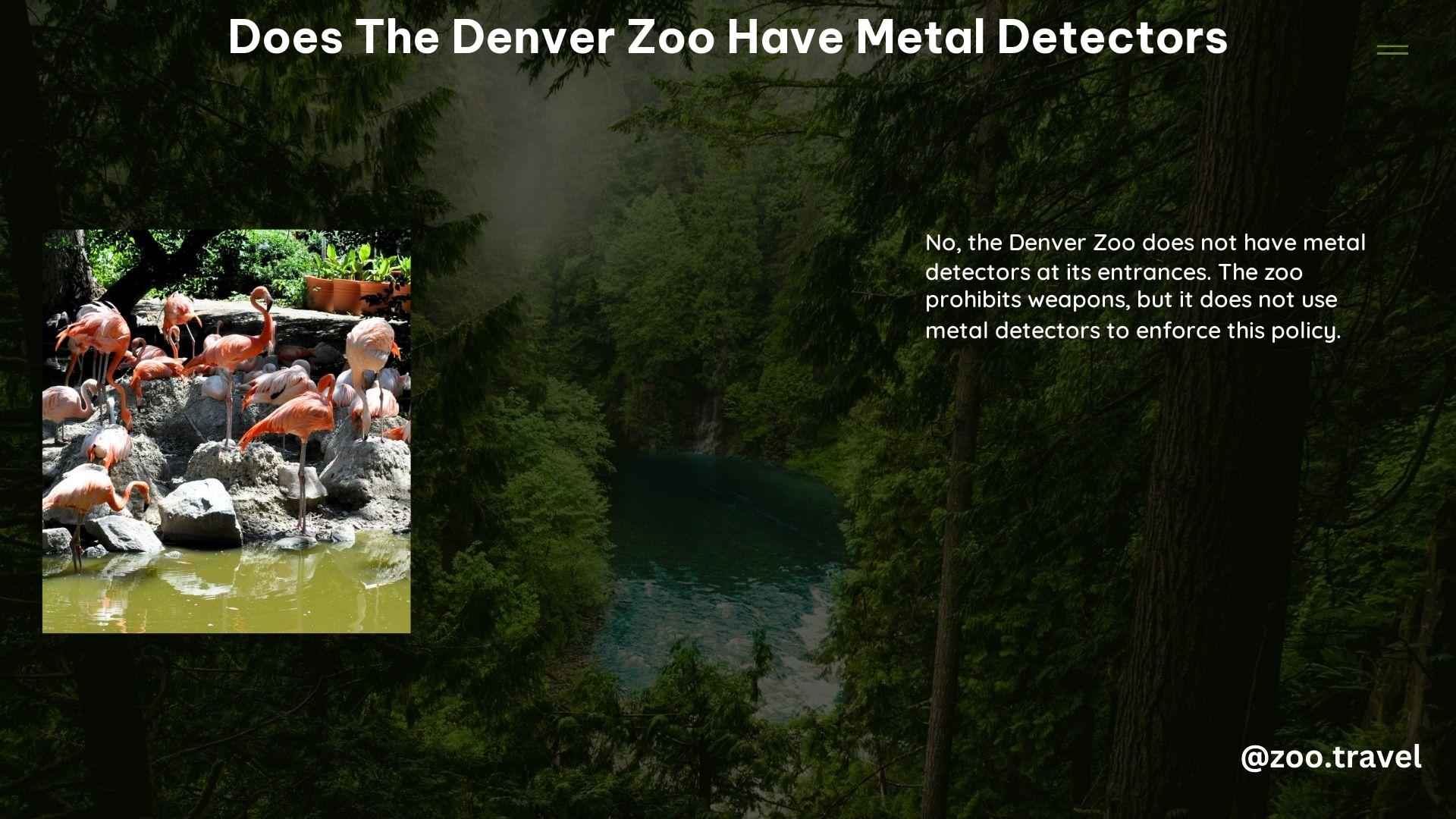 Does the Denver Zoo Have Metal Detectors