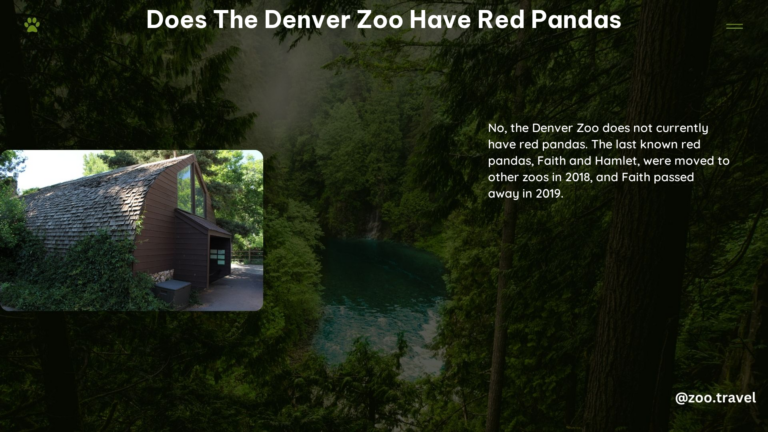 Does the Denver Zoo Have Red Pandas