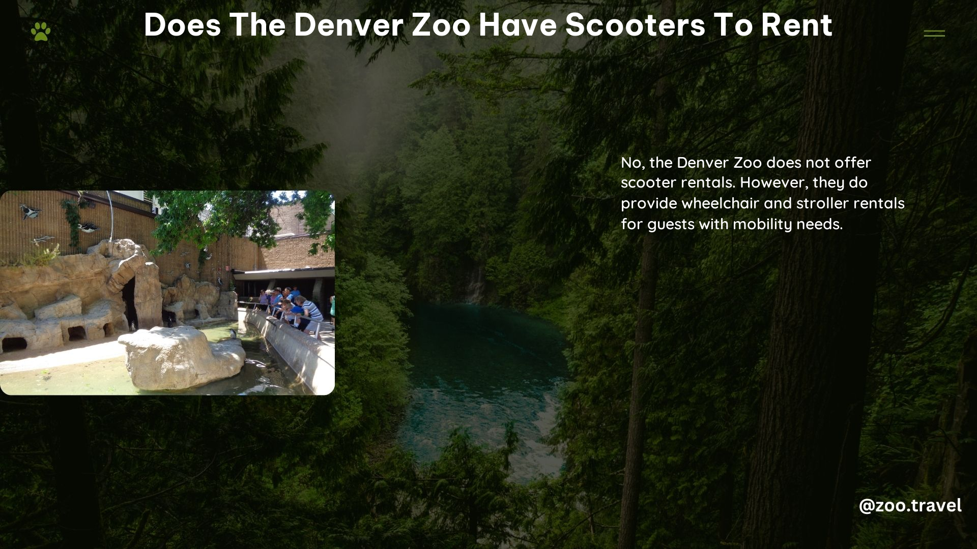 Does the Denver Zoo Have Scooters to Rent