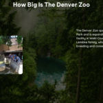 How Big Is the Denver Zoo