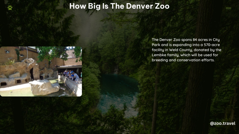 How Big Is the Denver Zoo