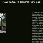 How to Go to Central Park Zoo