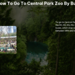 How to Go to Central Park Zoo by Bus