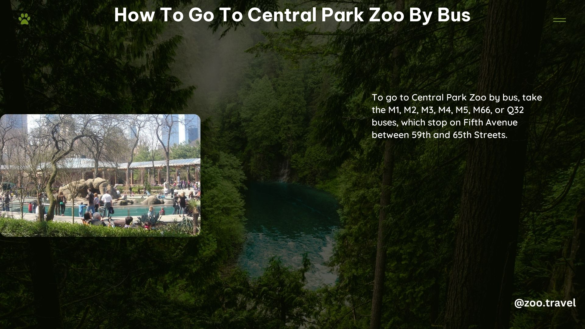 How to Go to Central Park Zoo by Bus