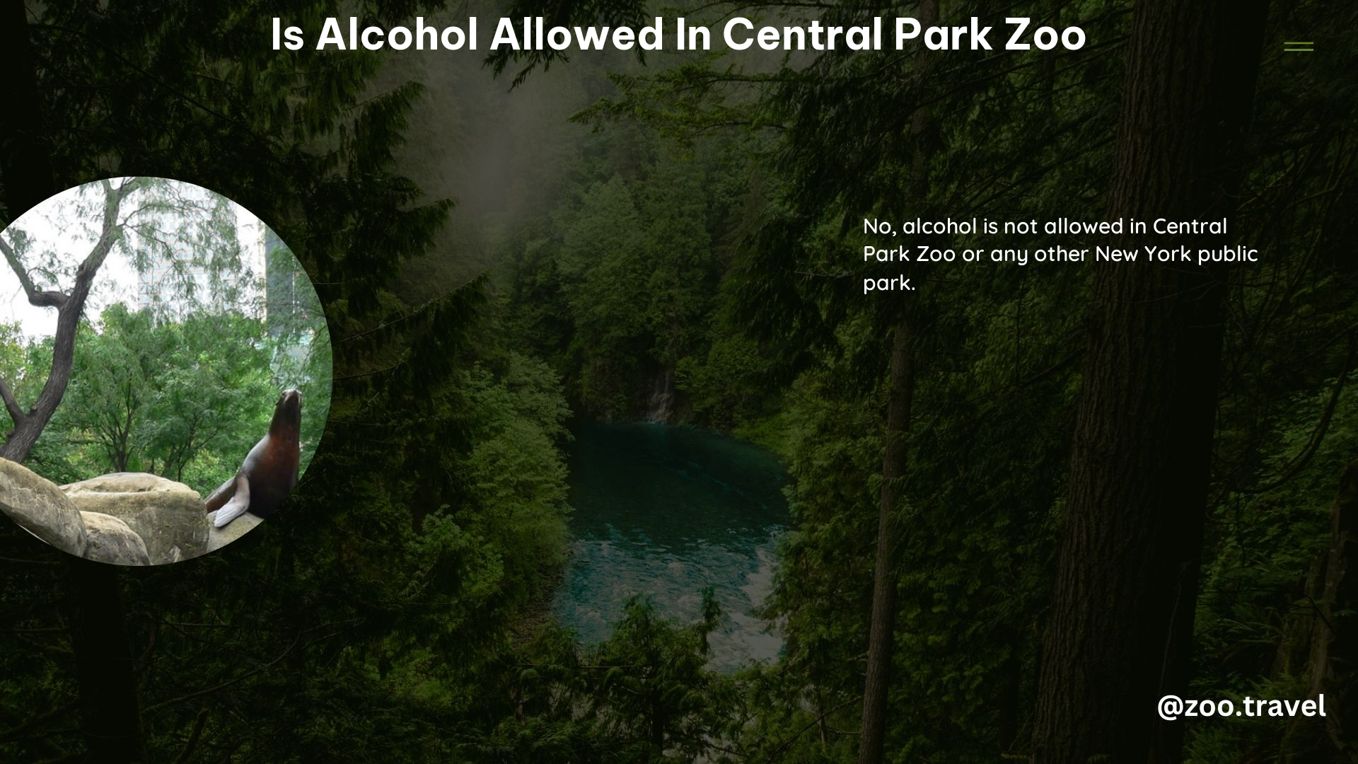 Is Alcohol Allowed in Central Park Zoo