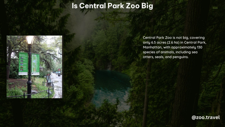 Is Central Park Zoo Big