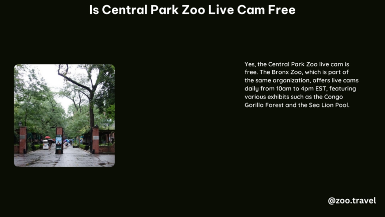 Is Central Park Zoo Live Cam Free