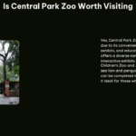 Is Central Park Zoo Worth Visiting