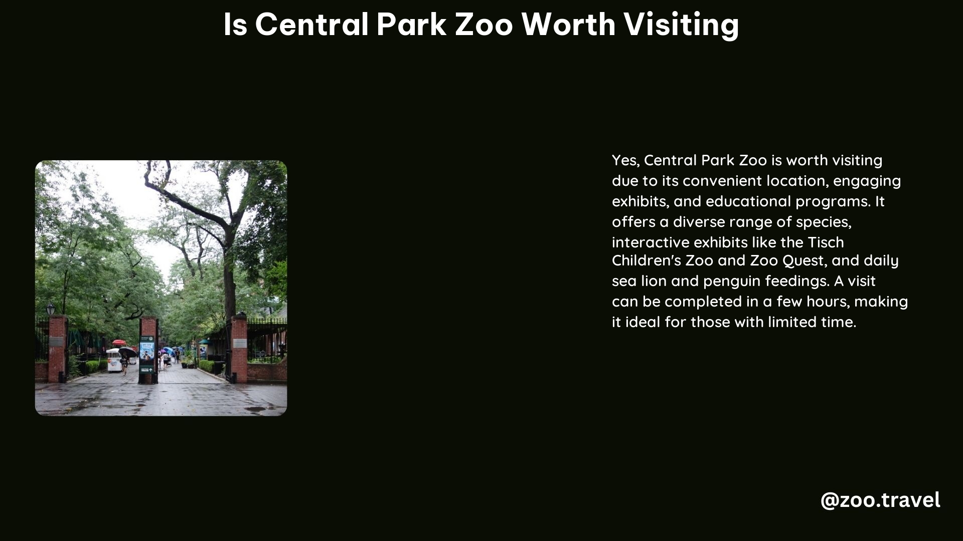 Is Central Park Zoo Worth Visiting