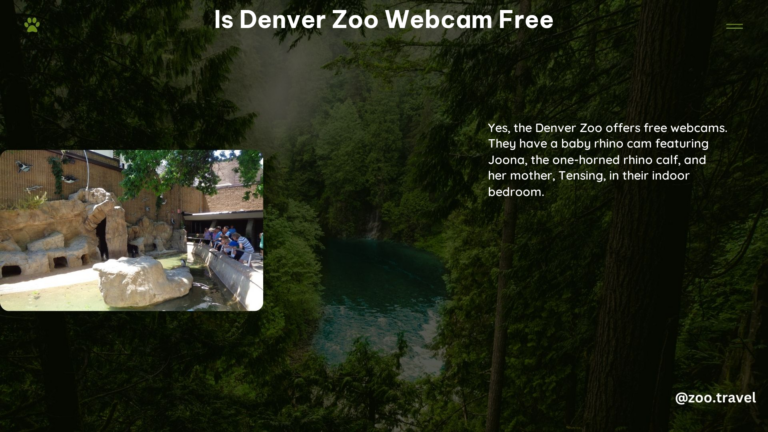 Is Denver Zoo Webcam Free