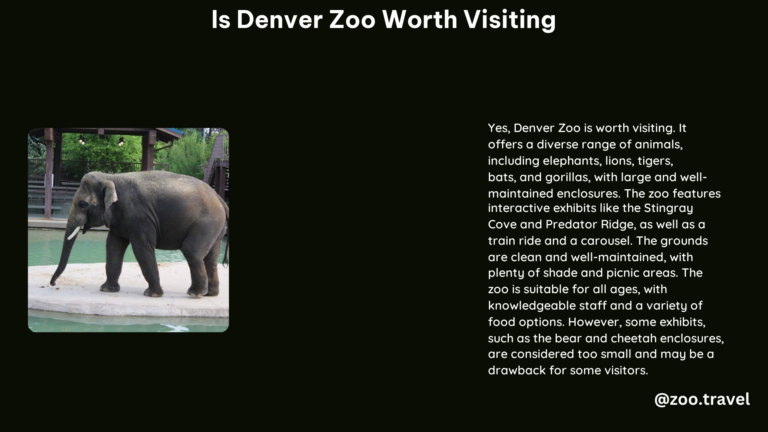 Is Denver Zoo Worth Visiting