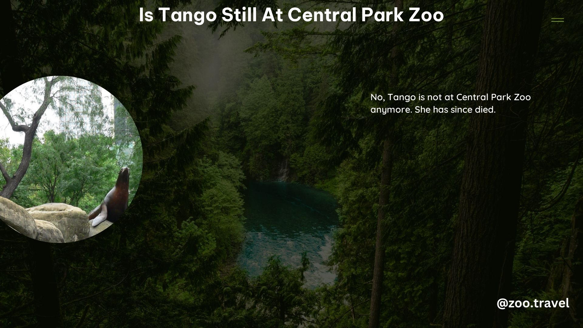 Is Tango Still at Central Park Zoo