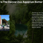 Is the Denver Zoo Aquarium Better