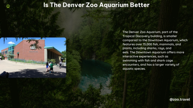 Is the Denver Zoo Aquarium Better