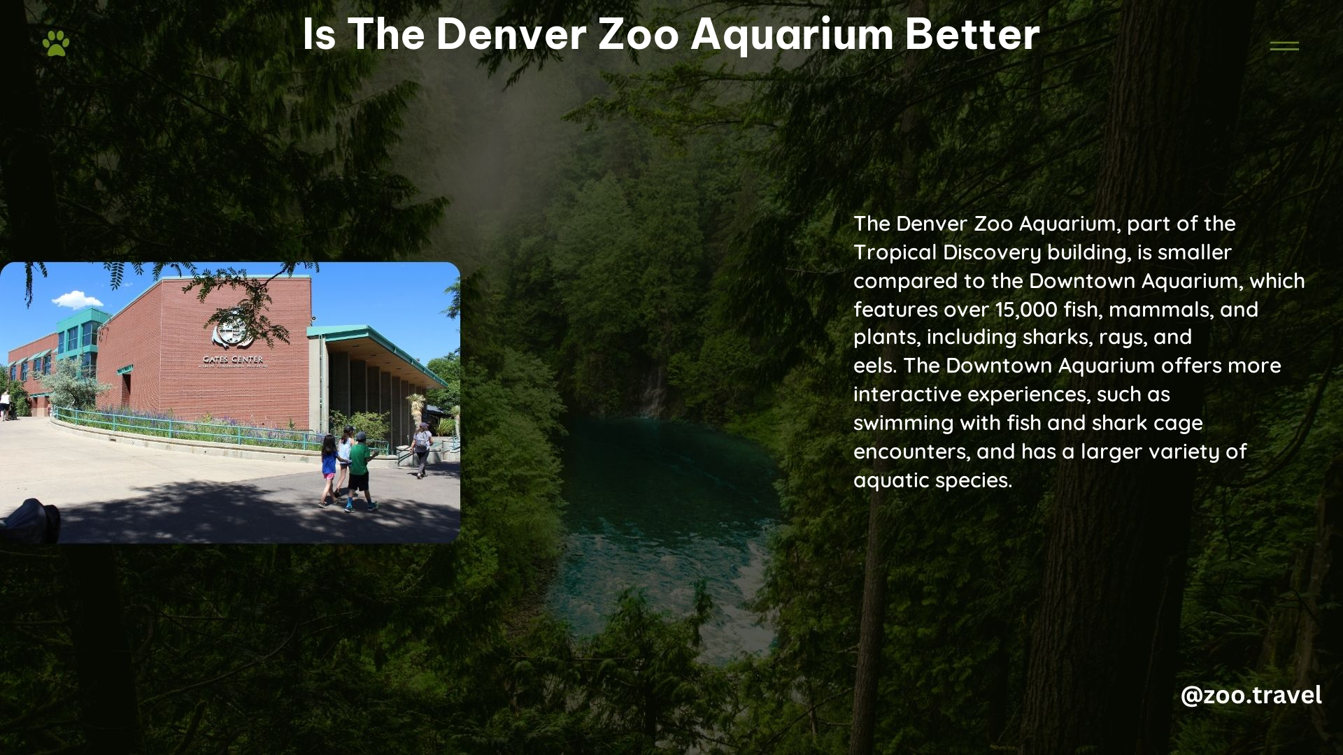 Is the Denver Zoo Aquarium Better